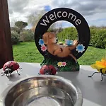 Σπίτι διακοπών Le Cosy Occitan Chaleureuse Independante Baignoire Terrasse Jardin Καρκασόν