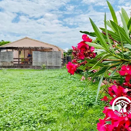 Le Cosy Occitan Chaleureuse Independante Baignoire Terrasse Jardin Σπίτι διακοπών *