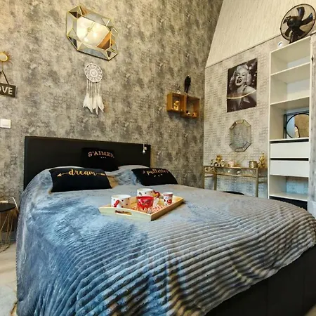 Le Cosy Occitan Chaleureuse Independante Baignoire Terrasse Jardin * Καρκασόν