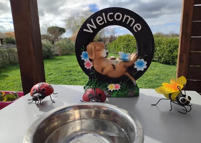 Сasa de vacaciones Le Cosy Occitan Chaleureuse Indépendante Baignoire Terrasse Jardin Carcasona